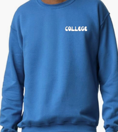 COLLEGE sweatshirt